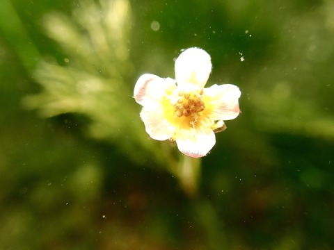 FF920903-73B3-4907-91AD-E1855B0880FD