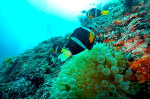 DSC00200のコピー