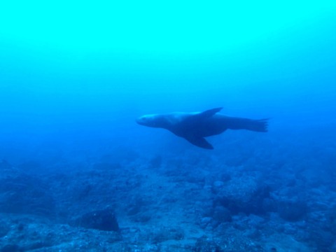 68CB99AD-D7EC-4DB2-B16C-B03F0151D904