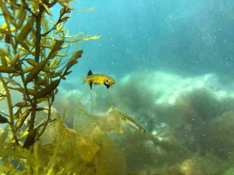 E900B657-996A-44AA-818E-6B68CDD2D673