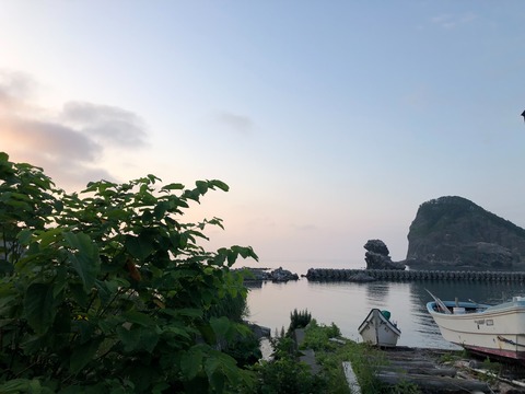 S__49971208