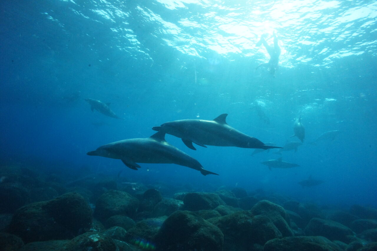 元気出していきましょう Lana スタッフブログ