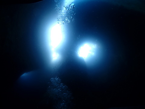 P6010021
