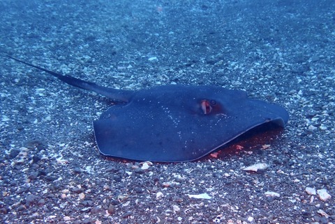 49B2ABB2-EAF4-497A-BA1C-21F9672D4728