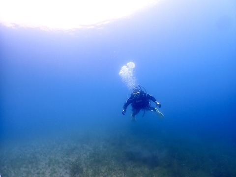 87C9C593-53AF-46C9-9779-2620CBC25256