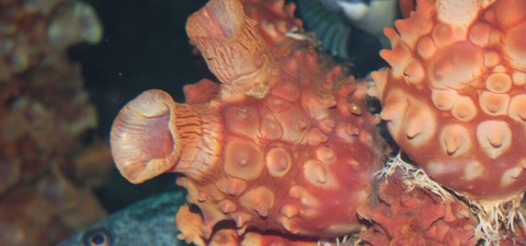 54d7da61d0f42b11c6ffd0ca22d7e92f-960x450