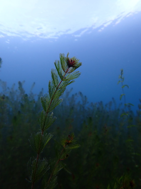 P7200060