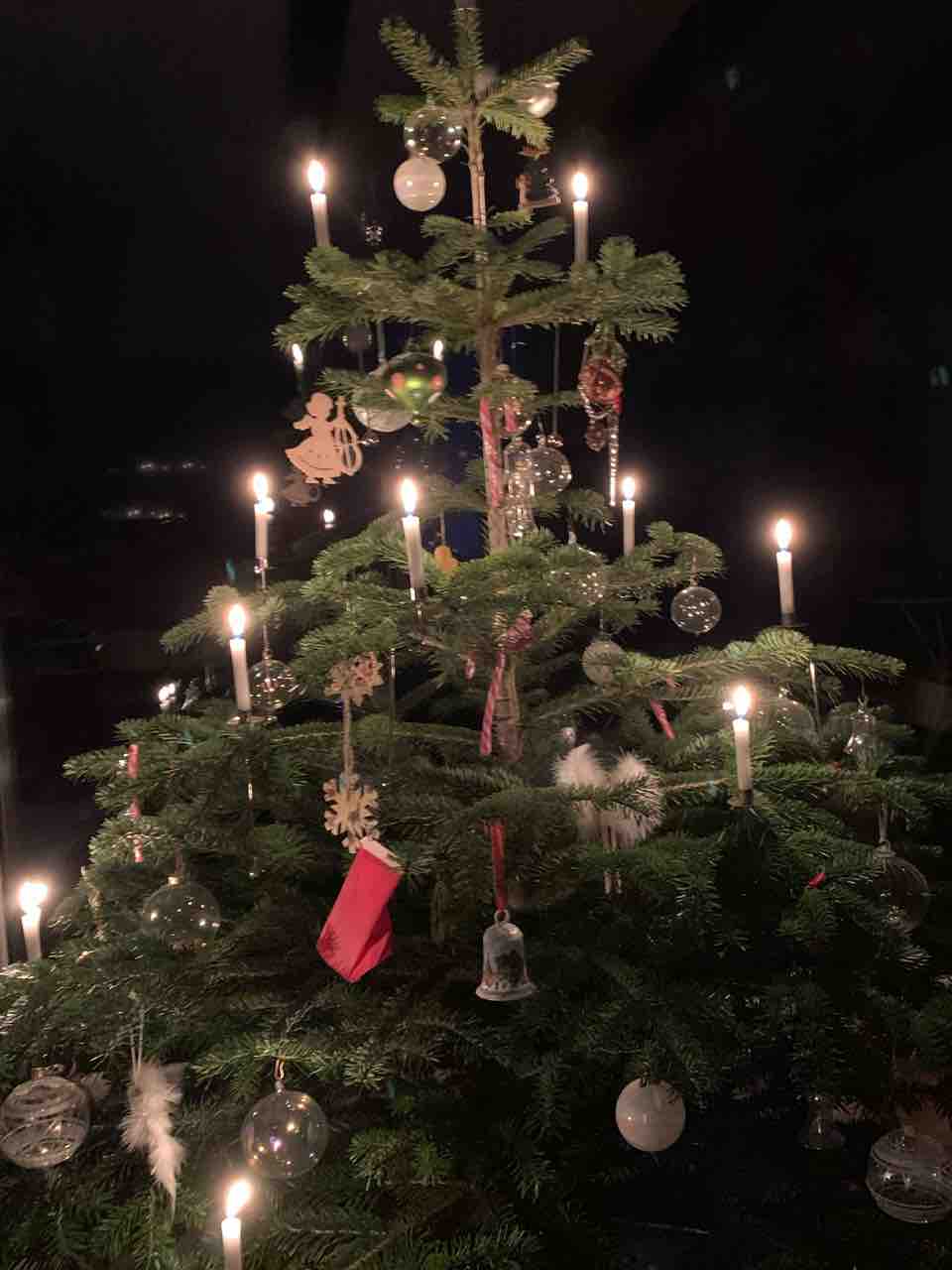 メリークリスマス ガチョウのロースト ドイツで田舎生活 築40年の家をなるべく自分たちでリフォーム