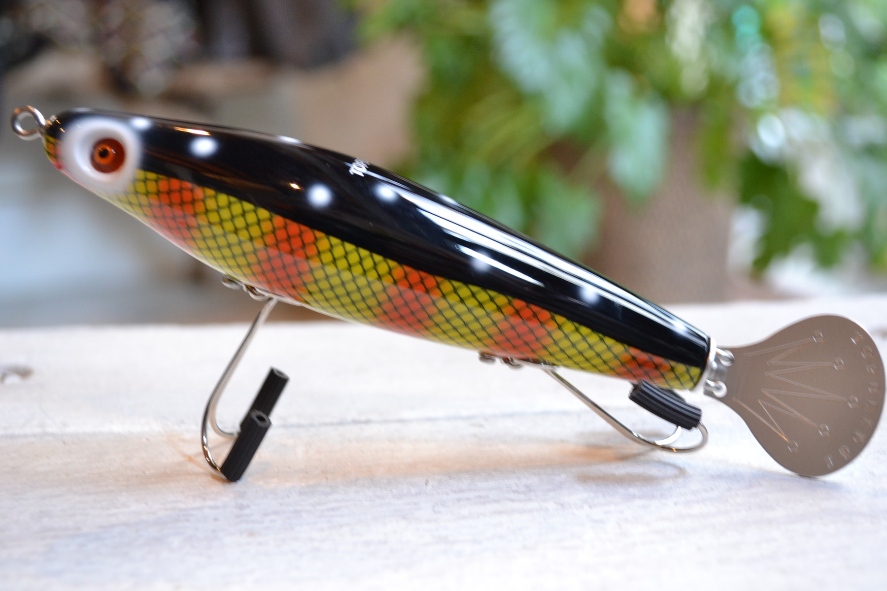 トップブリッジ『Arapaima（アラパイマ）』入荷しました！ : Landscape