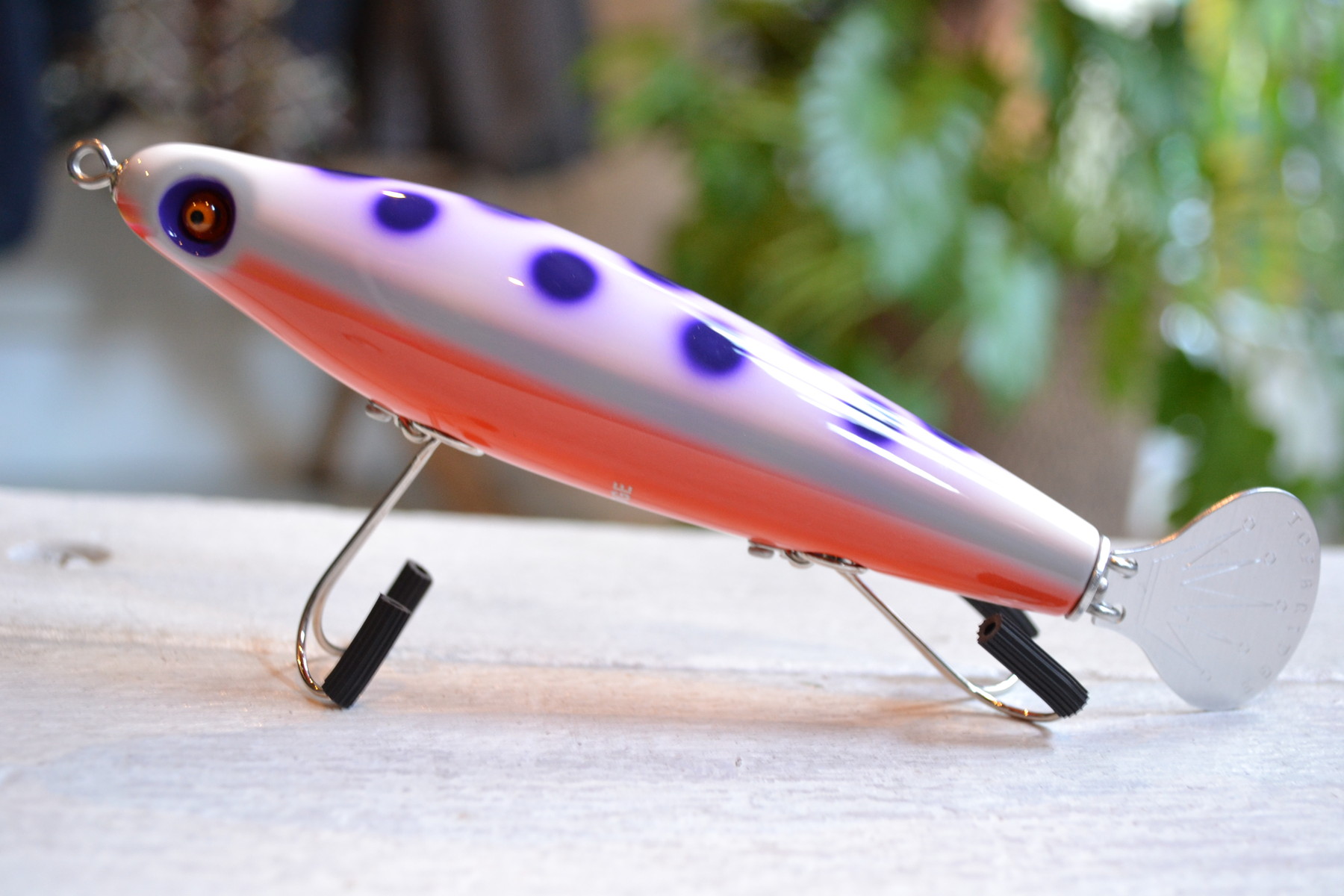 トップブリッジ『Arapaima（アラパイマ）』入荷しました！ : Landscape