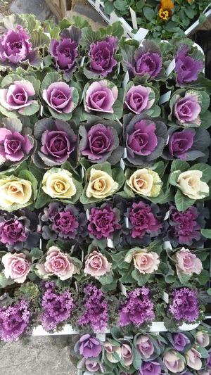 [����:13ca283b-s.jpg]