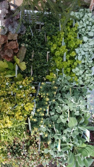 [����:31ebf6de-s.jpg]