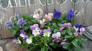 [����:3aee930d-s.jpg]