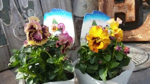 [����:6cb2986a-s.jpg]