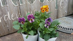 [����:8dbccd5a-s.jpg]