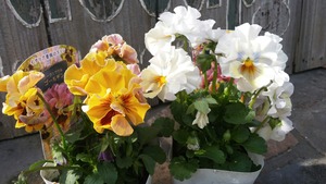 [����:b1de2ab0-s.jpg]