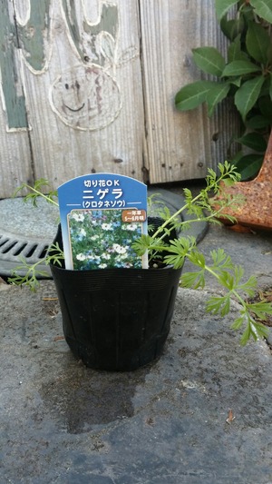 [����:cb5706d3-s.jpg]