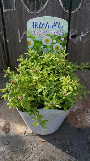 [����:d9575622-s.jpg]