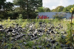 s-6-4ベルリンのランドスケープ２