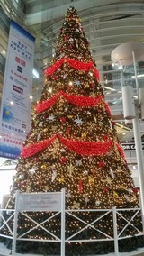 20201128_110831