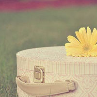 d009b3de9c82d15876cd87b7830a19d8bc3e426d