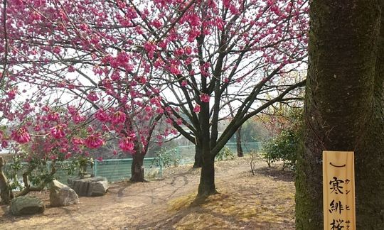 香川県高松市香南町