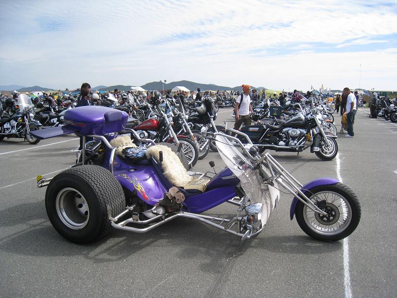 牛に白い塩を与えてもいいですか？