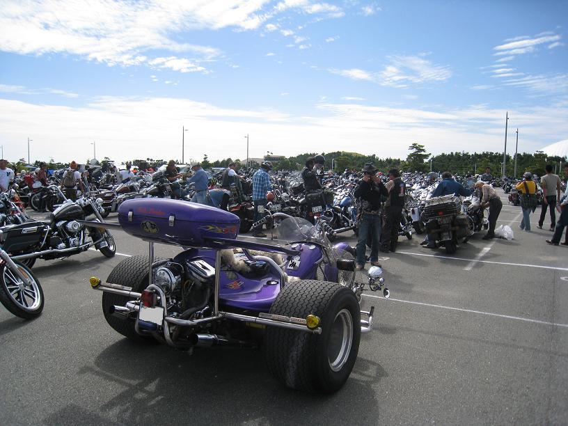 牛に白い塩を与えてもいいですか？