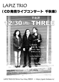 lapiztrio_12b