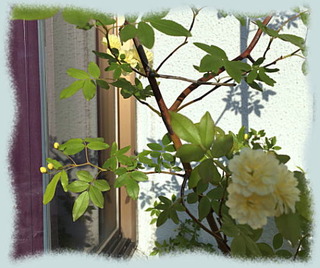 29avril15c