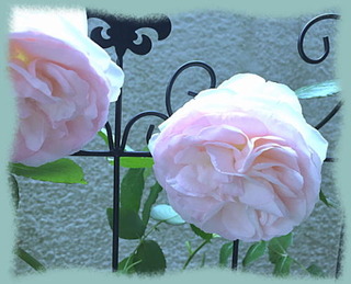 25mai16c
