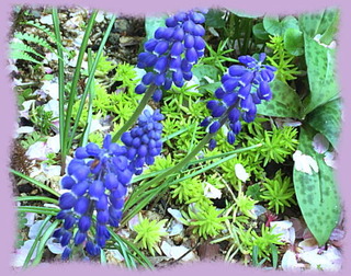 9avril16c
