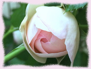 21mai16c