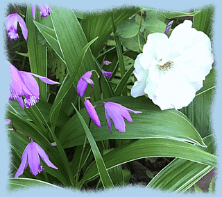 30mai17a