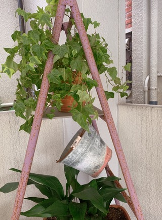 落合桜 パリの風 Livedoor Blog ブログ