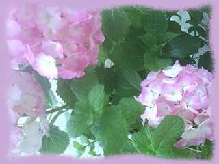 10juin16c