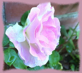 20mai16b