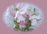 18mai08b