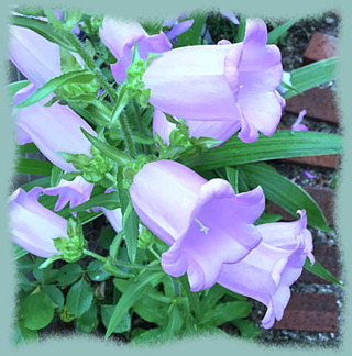 25mai16b