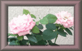 ¥¹¥¤¡¼¥È¥Õ¥é¥ß¥ó¥´