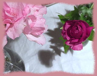 27avril15e