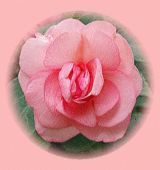a04bb055.gif
