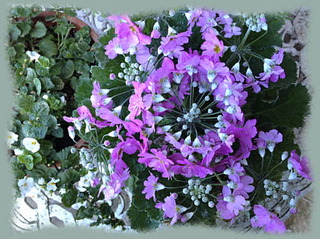 22dec13d