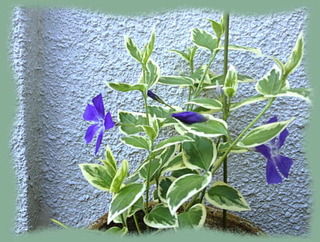 9mai13a