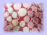 wasanbon