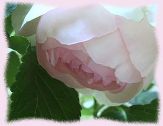 21mai16b