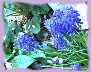 9avril16d