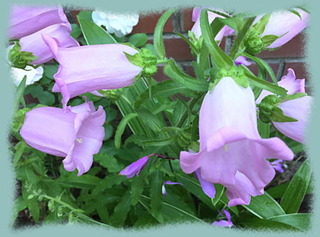 25mai16a