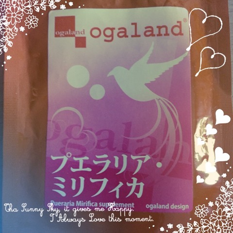 武具 刀装具 日本刀 模造刀 居合刀 C 3981B - www2.regionhuanuco.gob.pe