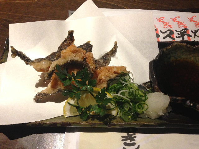 外食 遠征 居酒屋 駱駝 別邸 ひろめ市場 高知市帯屋町 The Last Sasurai 自炊ニストの食卓 外食 遠征 居酒屋 駱駝 別邸 ひろめ市場 高知市帯屋町 The Last Sasurai 自炊ニストの食卓